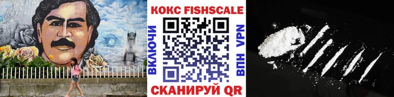 продажа наркотиков  Юхнов  MEGA ONION  Cocaine VHQ 