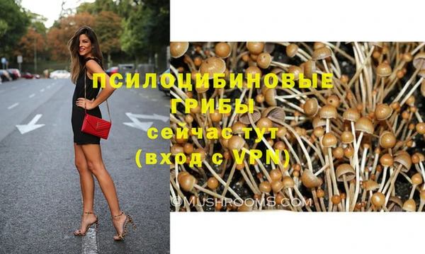 соль курить ск Богородск