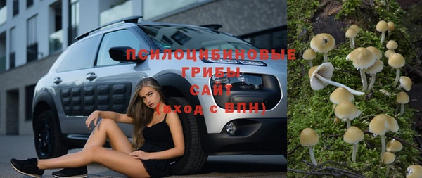 мдпв Богородицк