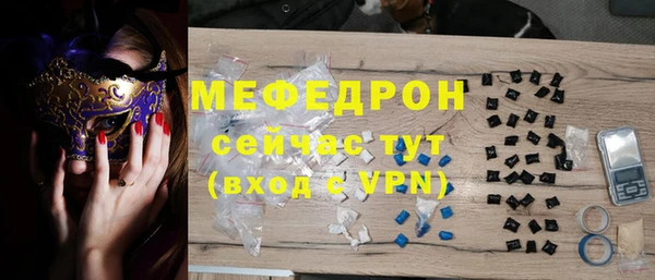 мдпв Богородицк