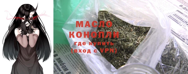 мдпв Богородицк