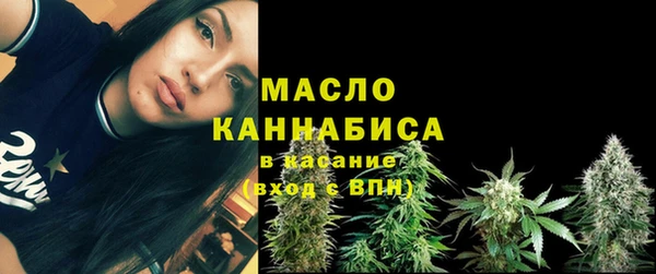 мдпв Богородицк